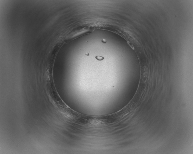 X0000073990547200609061000