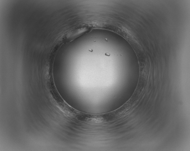 X0000073990548200609061000