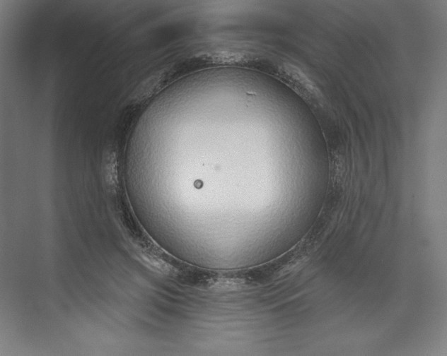 X0000073990549200609061000