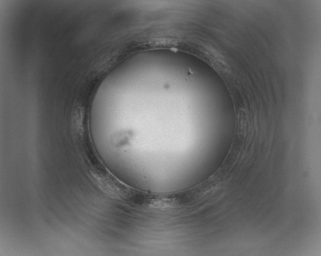 X0000073990550200609061000