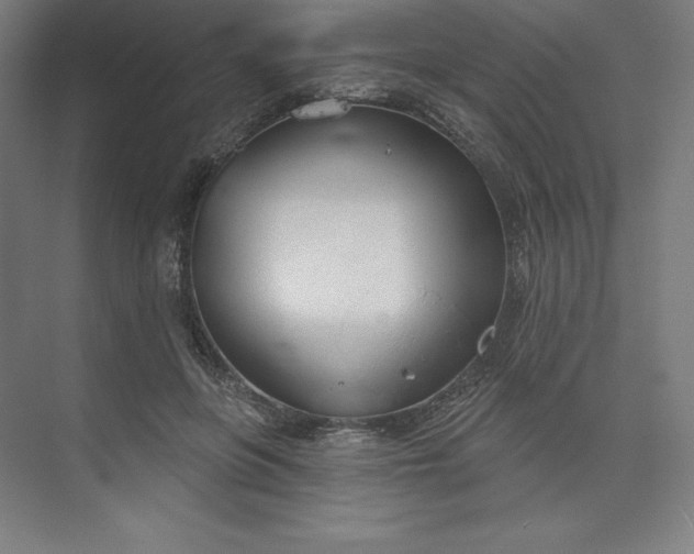 X0000073990551200609061000