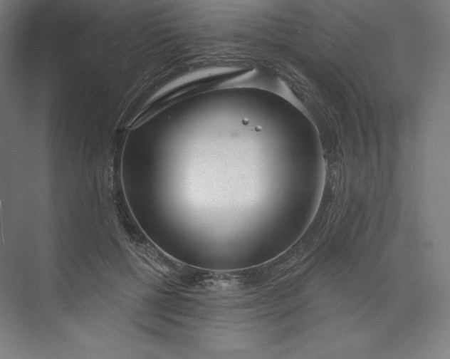 X0000073990552200609061000