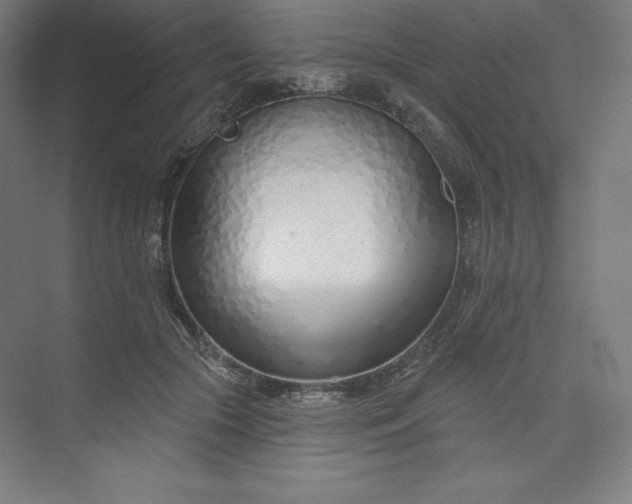 X0000073990553200609061000