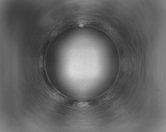 X0000073990554200609061000