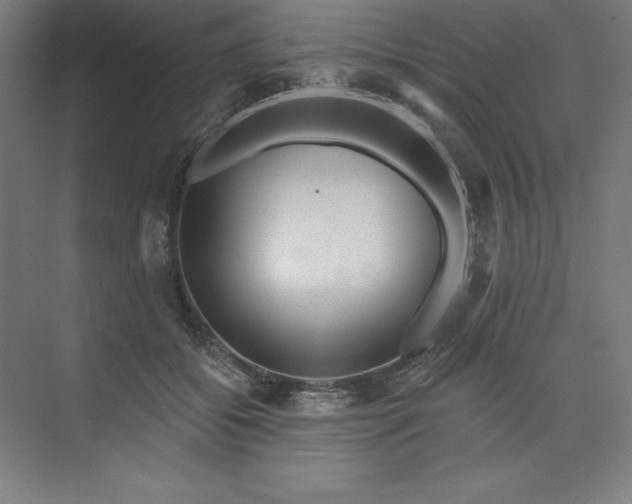 X0000073990556200609061000