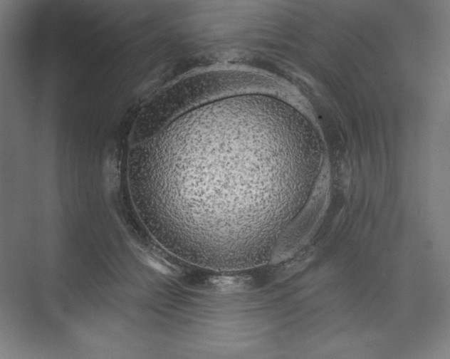 X0000073990558200609061000