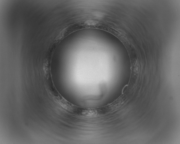 X0000073990559200609061000