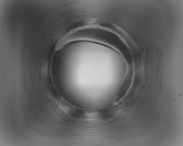 X0000073990560200609061000