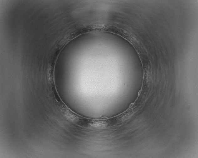 X0000073990561200609061000