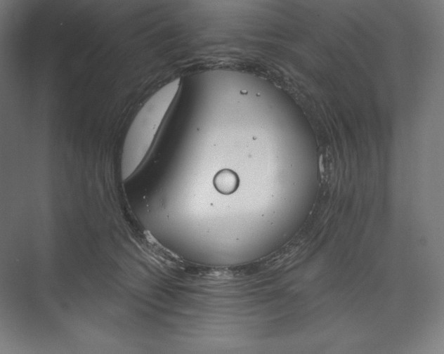 X0000073990562200609061000