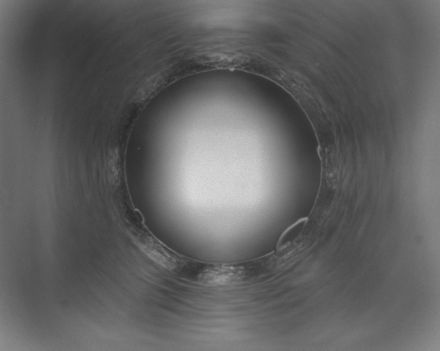 X0000073990563200609061000