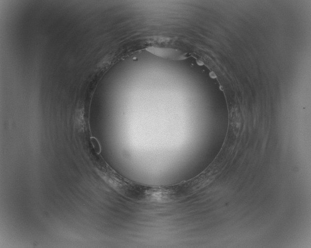 X0000073990564200609061000