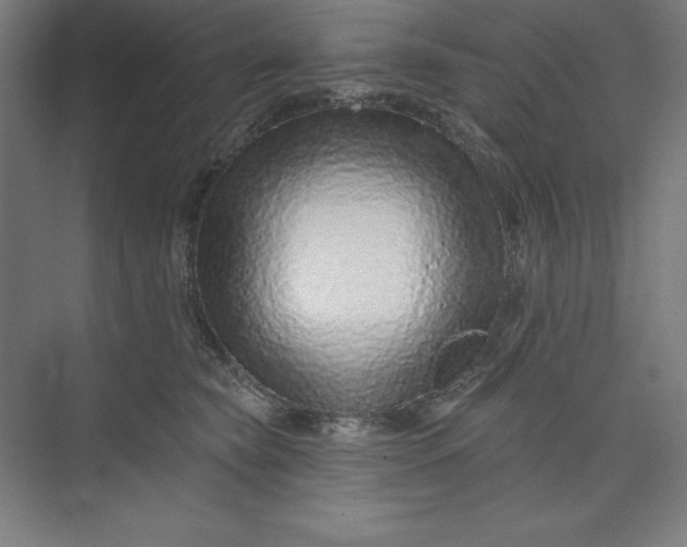 X0000073990565200609061000