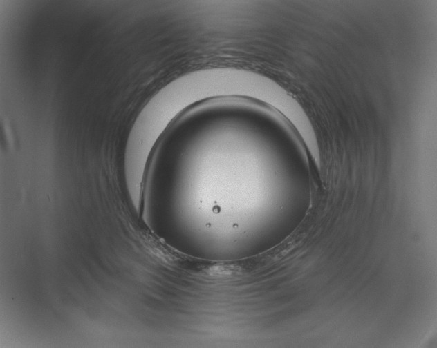 X0000073990566200609061001