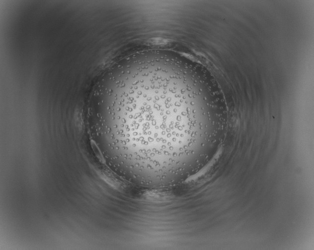 X0000073990568200609061001