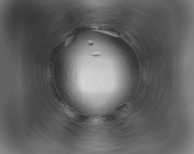 X0000073990569200609061001