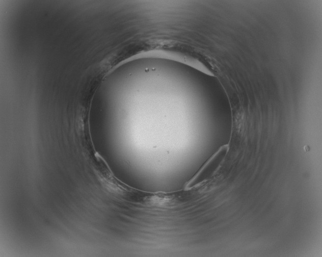 X0000073990570200609061001