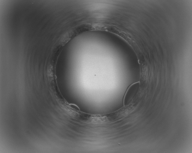 X0000073990571200609061001