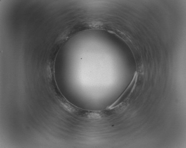 X0000073990572200609061001