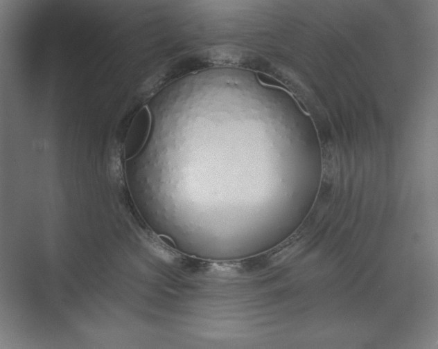 X0000073990573200609061001