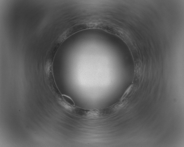 X0000073990574200609061001