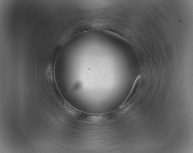 X0000073990575200609061001