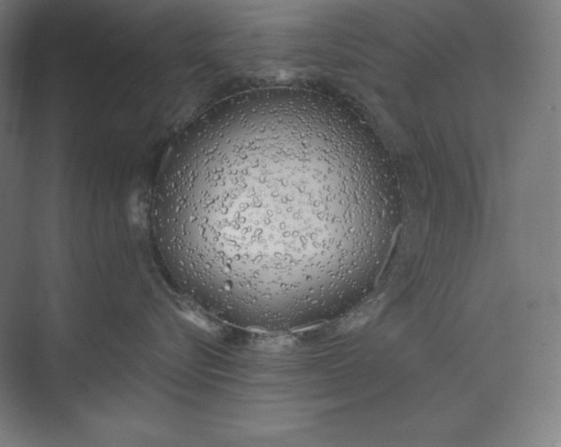 X0000073990576200609061001