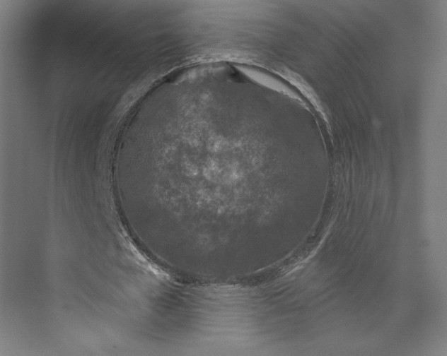 X0000073990577200609061000