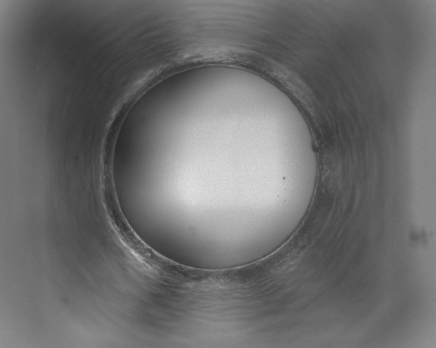 X0000073990578200609061000