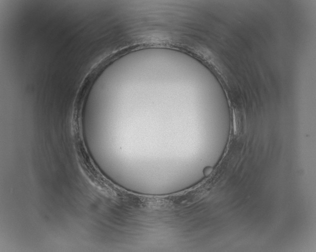 X0000073990579200609061000