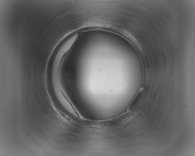 X0000073990580200609061000