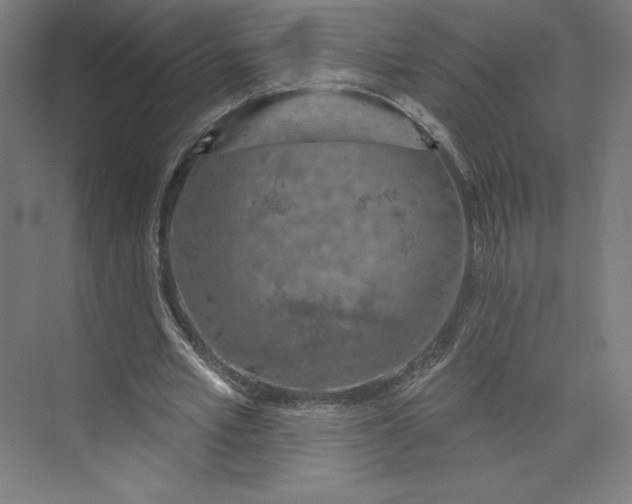 X0000073990581200609061000