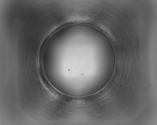 X0000073990582200609061000