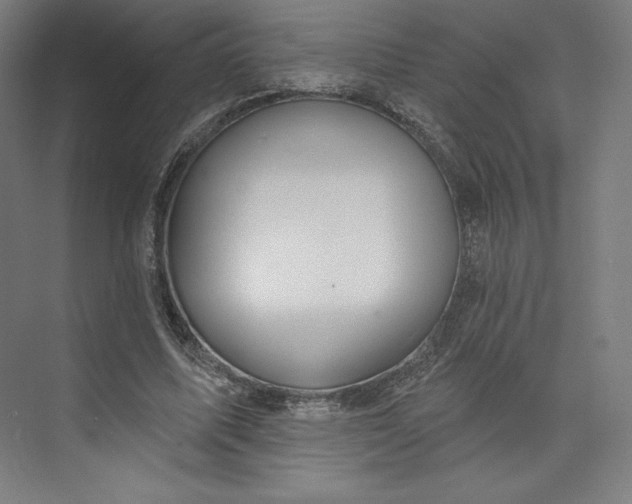 X0000073990587200609061000