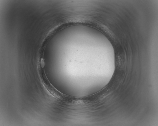 X0000073990588200609061000