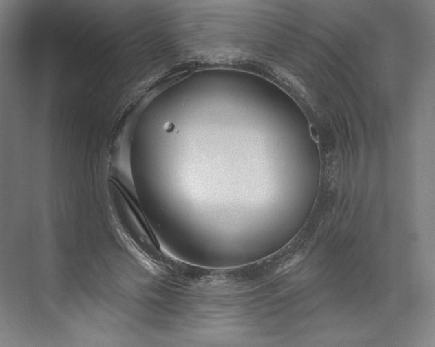 X0000073990589200609061000