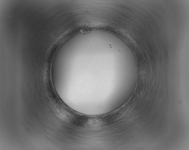 X0000073990591200609061000