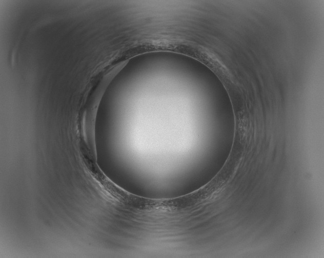 X0000073990593200609061000