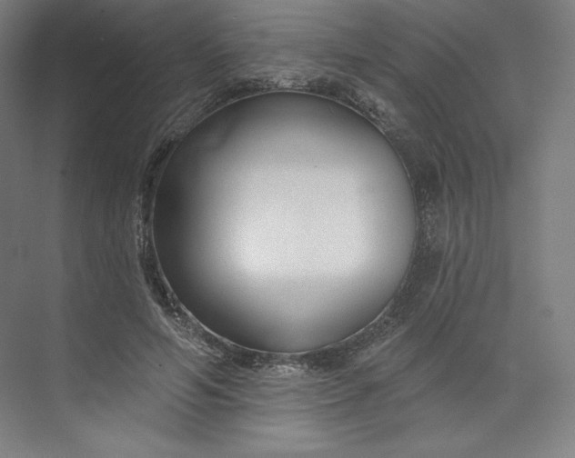 X0000073990594200609061000