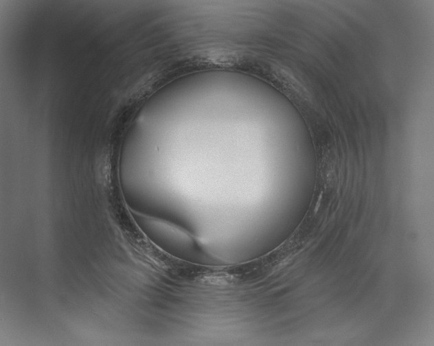 X0000073990595200609061000