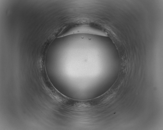 X0000073990597200609061000