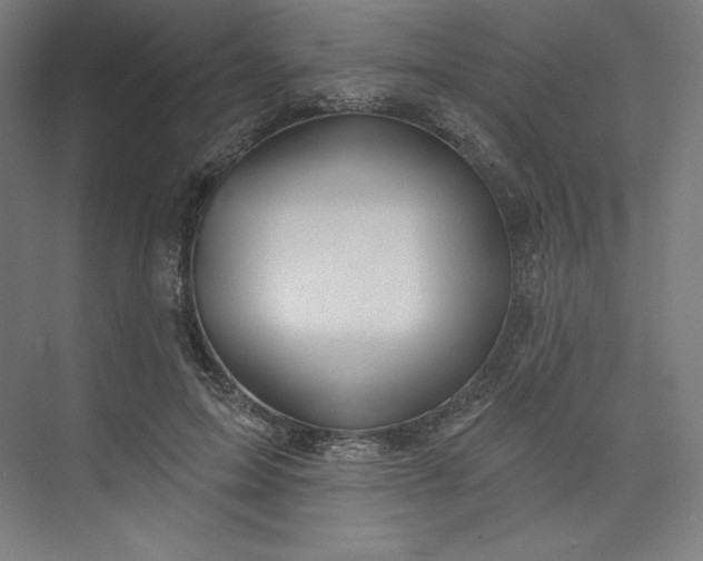 X0000073990599200609060959