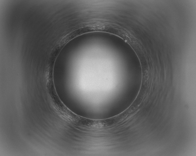 X0000073990600200609060959