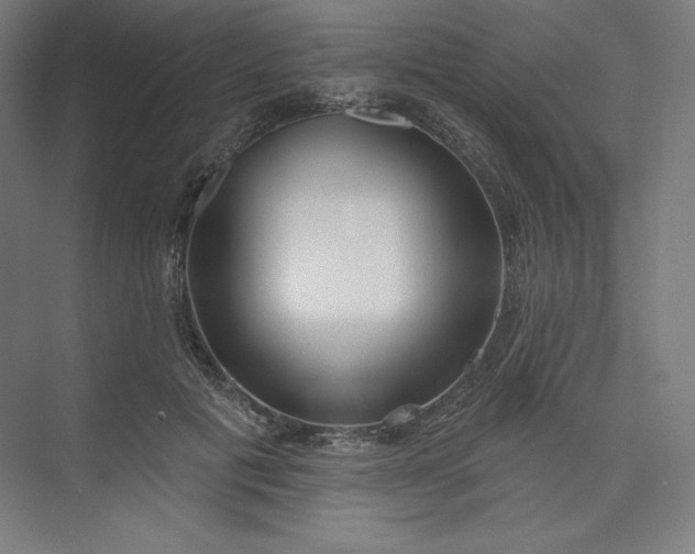 X0000073990601200609060959