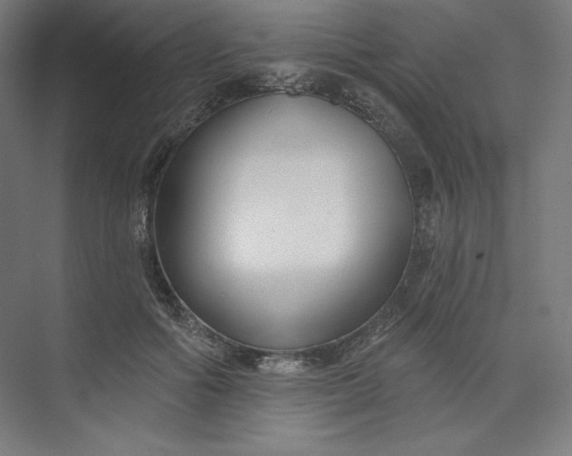 X0000073990602200609060959