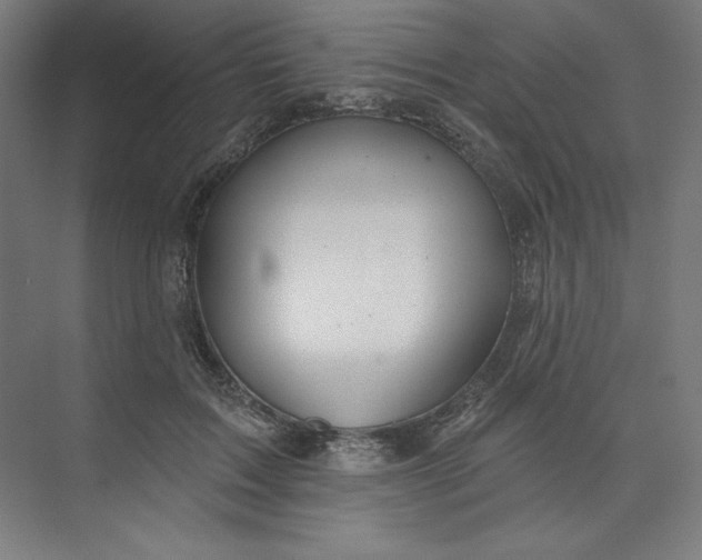 X0000073990603200609060959