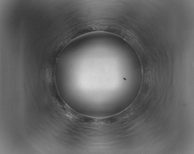 X0000073990604200609060959