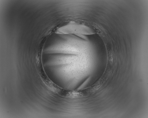 X0000073990607200609060959