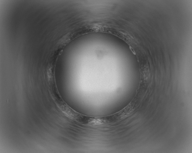 X0000073990611200609060959