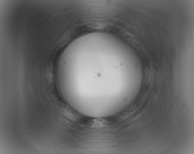 X0000073990612200609060959